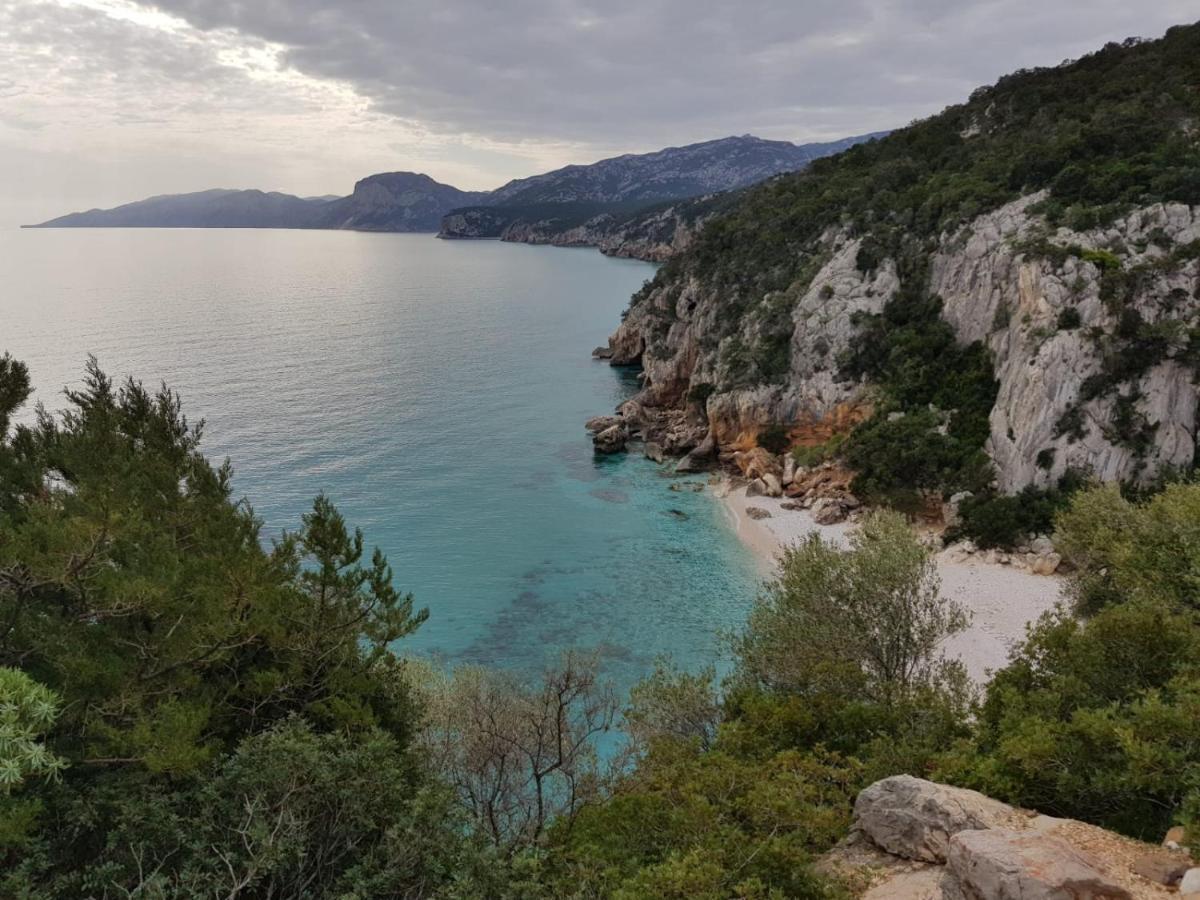 Appartamento Limone Cala Gonone Dış mekan fotoğraf